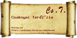 Csaknyai Terézia névjegykártya